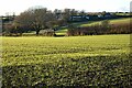 SW7337 : Farmland, Stithians by Andrew Smith