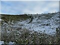 Possible former quarry by the A682