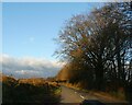 Winter sunlight on road north of North Brentor