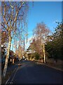 Winter sunlight, Matford Avenue, Exeter