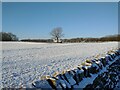 Snowy field beside the A691