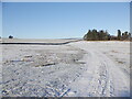 Road on Harelaw Moor, Berwickshire