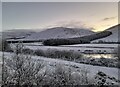 Looking towards Stanhope