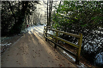 H4772 : A light dusting of frost along the Highway to Health path by Kenneth  Allen