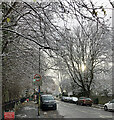 Snowy Farquhar Road