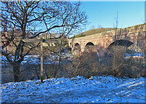 NT5135 : Redbridge Viaduct by Anne Burgess
