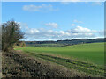 View down Warren Bottom