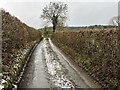 Dead-end lane to Pentregaer