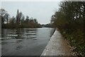 SE6050 : Upstream along the Ouse by DS Pugh