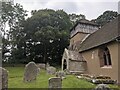 Trees at St. James church (Shipton)