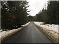 B9102 towards Grantown-on-Spey