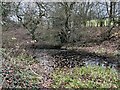 Small pond off Nantwich Road