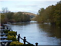 Looking up river from near the bridge, Bewdley