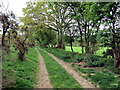 Llwybr Aber-nawmor / Aber-nawmor path