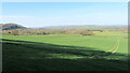 Fields and Homer from Traps Coppice