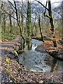 SK3085 : The Porter Brook in Whiteley Woods by Graham Hogg