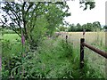 Overgrown footpath near Chipping