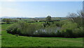 SJ5306 : Looking over Pond near Berrington Plantation by Rob Bainbridge