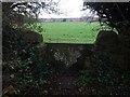 Stone Stile, Lower Morton