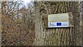 EU funding for our woodland