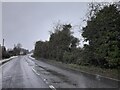 Icknield Way south of Edlesborough