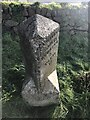 Old Milestone by the former A30 on Carwin Rise