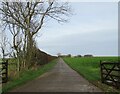 TA0373 : Access  road  to  Westfield  Farm  rising  over  Wold  Newton  Field by Martin Dawes