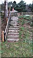 NY4957 : Steps from NW side of A69 to Carlisle Lodge by Luke Shaw