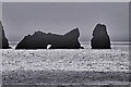 NA0701 : Stacs Shoaigh and Biorach, St Kilda Archipelago by David Dixon