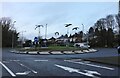 Birds of prey on the Gore Hill roundabout, Amersham