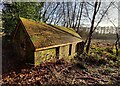 SO8577 : The Boat House in Hurcott Wood by Mat Fascione