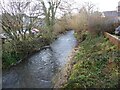 Bechan Brook, looking up stream, Bettws Cedewain