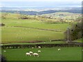 View north from Rhos-fawr