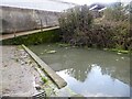 Pond at Rhos-fawr