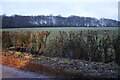 Field by Kiln Road, Hastoe