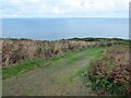 Ceredigion Coast Path