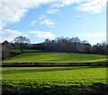 Footway Meadow/Hell Hams