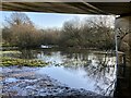 A flooded River Loddon under the A329(M) viaduct