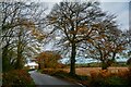 Woodtown : Country Lane