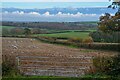 Woodtown : Countryside Scenery