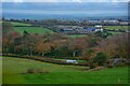 Woodtown : Countryside Scenery