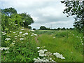 Field entrance off Harlow Road