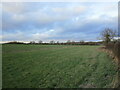 Grass field near Scotland Hill Farm