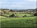 NZ2030 : The Wear Valley on the edge of Bishop Auckland by David Robinson