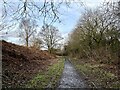 Footpath approaching Bignall End