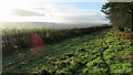 Bridleway to South side of Middlethorpe Hill