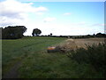 Field off Kirkton Road, Neilston