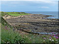 Rocky shoreline at Pittenweem