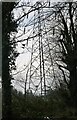 Pylon by Nightingales Lane, Chalfont St Giles