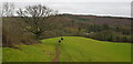 Walkers on Calcot Hill